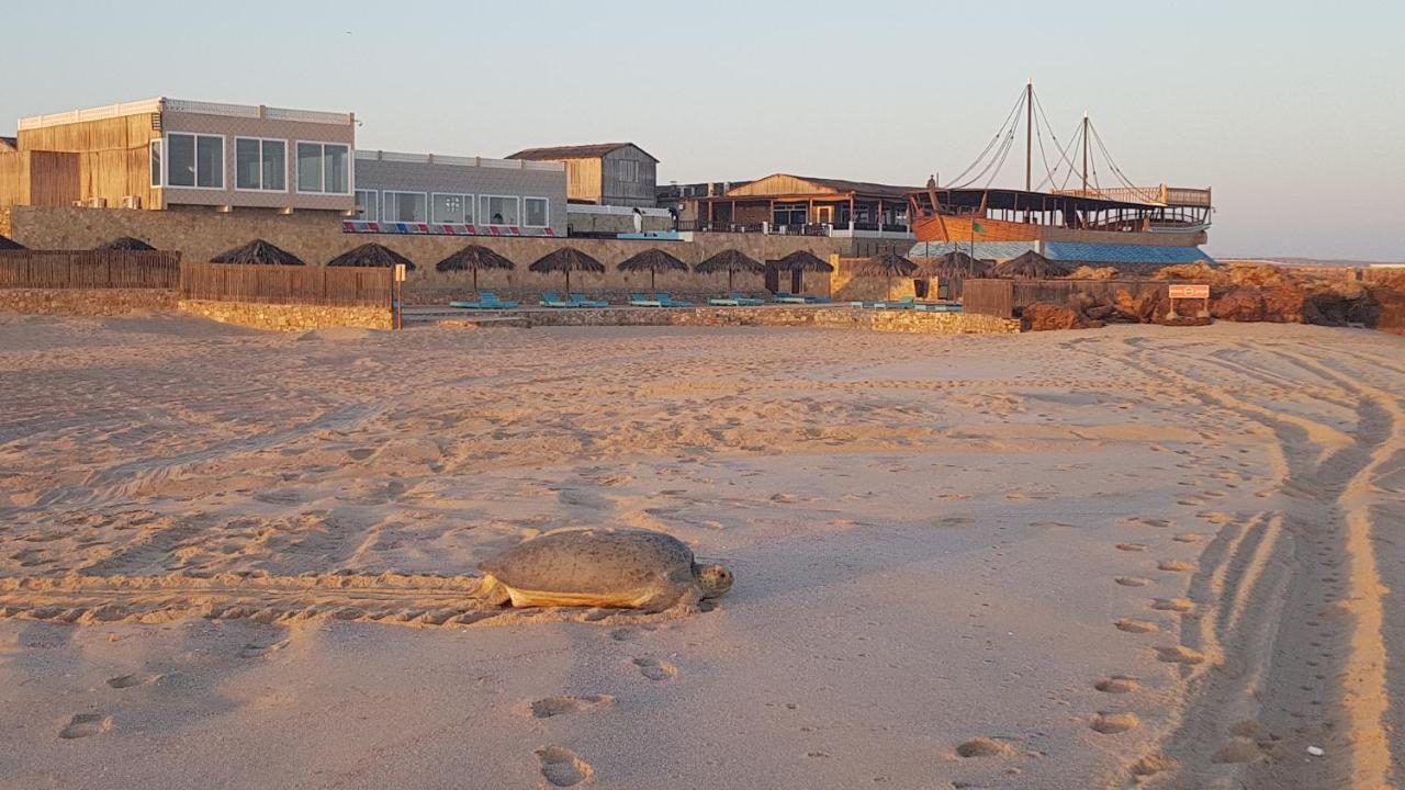 Turtle Beach Resort Ras al Hadd Exterior photo