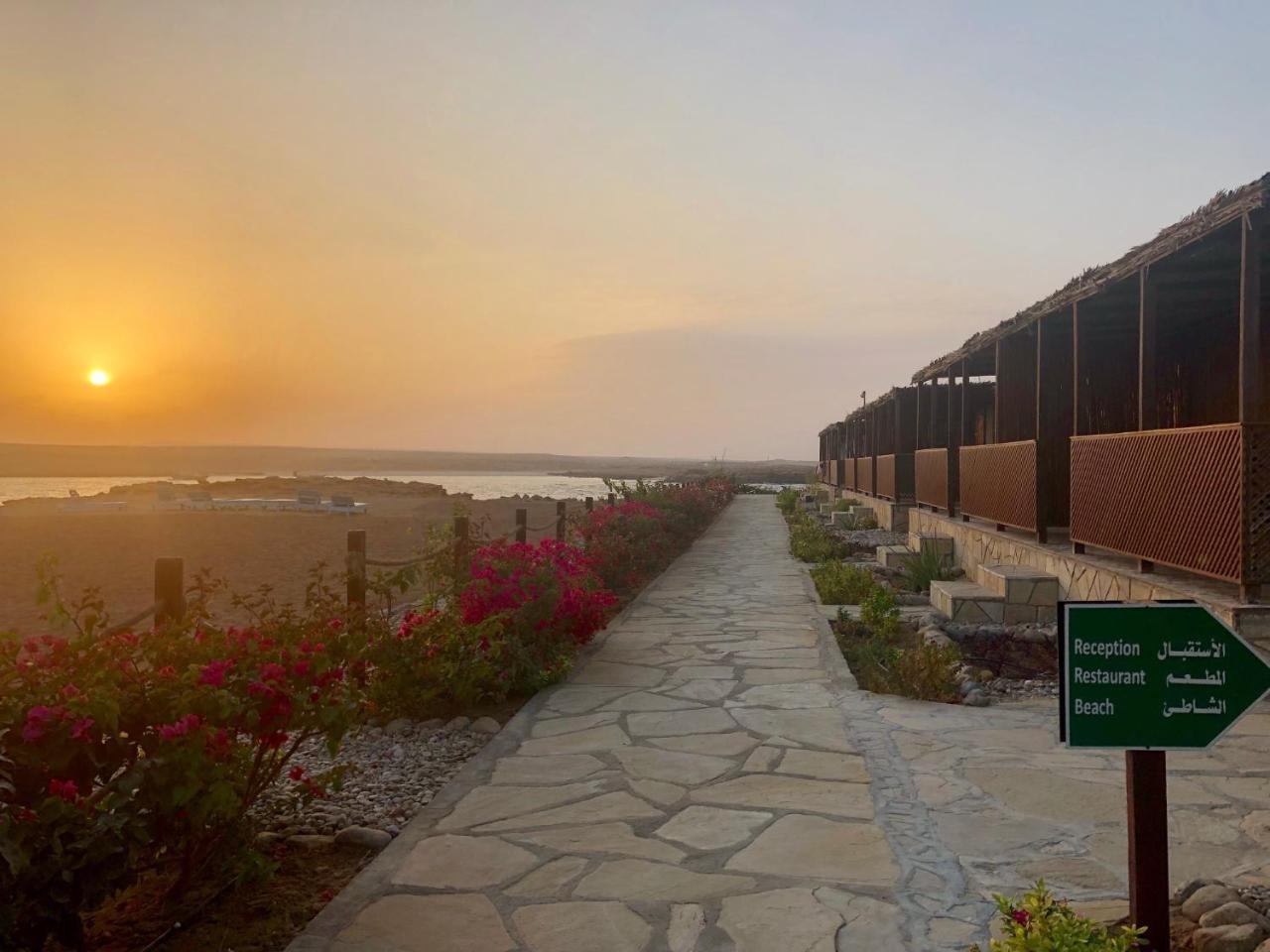 Turtle Beach Resort Ras al Hadd Exterior photo