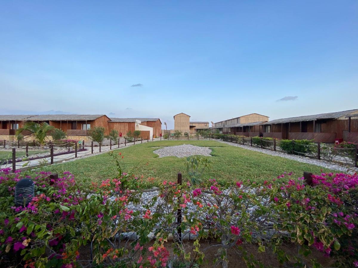 Turtle Beach Resort Ras al Hadd Exterior photo