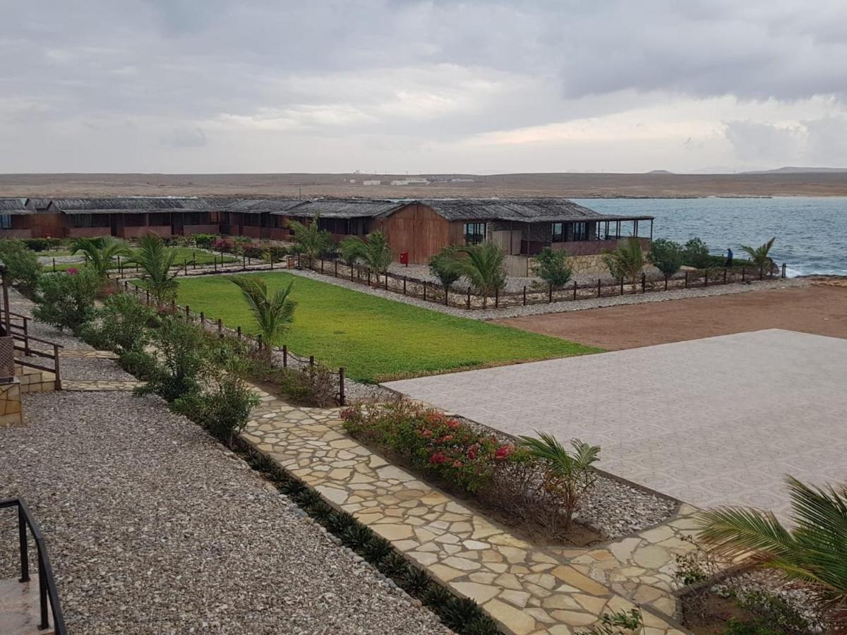 Turtle Beach Resort Ras al Hadd Exterior photo